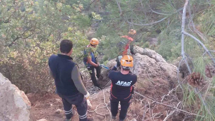 Dağlık alanda mahsur kalan keçiler kurtarıldı