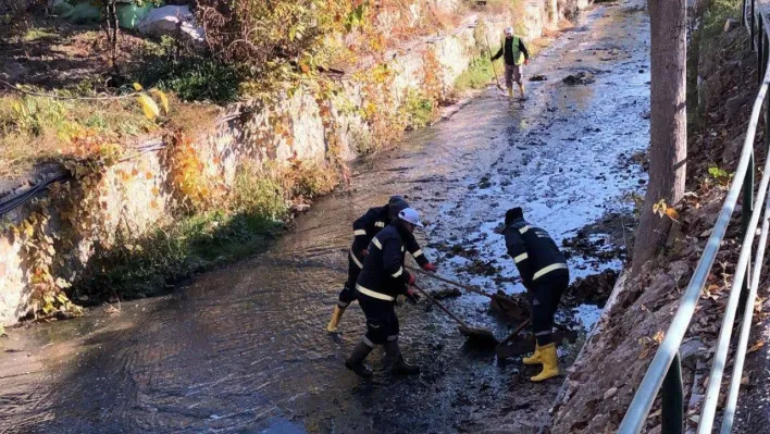 Dalakdere'de temizlik çalışması yapıldı