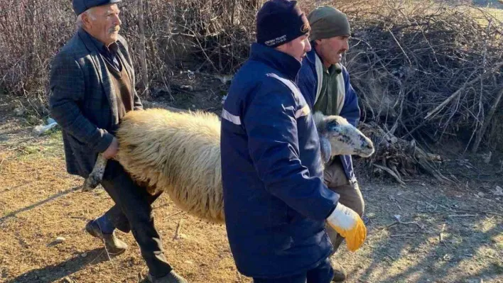 Deprem bölgesi için hayvan bağışladılar