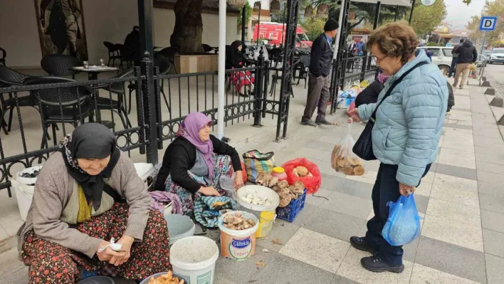 Deprem bölgesi Sındırgı'da hayat devam ediyor