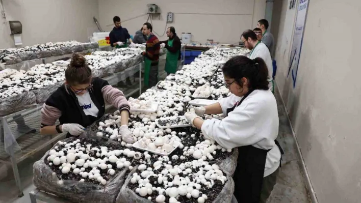 Depremden sağ kurtulan engelli Esmanur, depremzedelere yardım eli uzattı