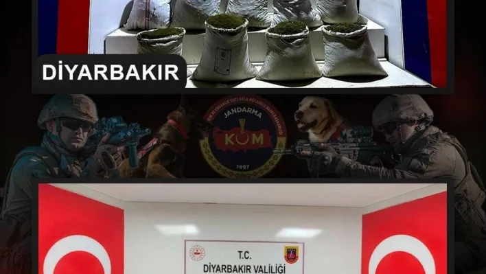 Diyarbakır'da 2 milyon 425 bin kök kenevir ve skunk bitkisi ele geçirildi