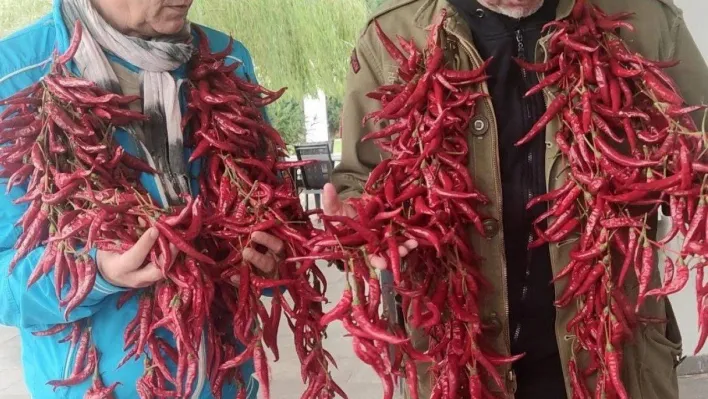 Duayen tiyatrocu Uygur kardeşler 'Çukurören Biberi'ne hayran kaldı