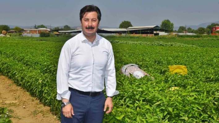 Dünya gıda pazarında Türkiye'nin ürünleri yer alacak