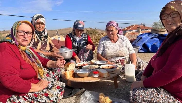 Edirne'de 'fakirin eti' kuru fasulyenin zorlu hasat mesaisi