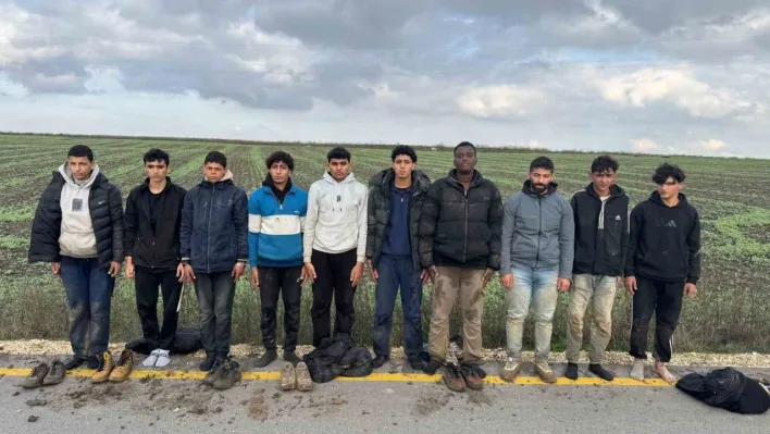 Edirne'de 10 düzensiz göçmen yakalandı