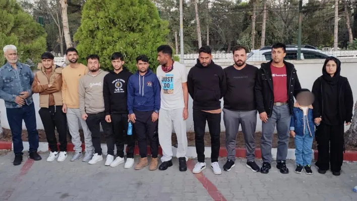 Edirne'de 12 düzensiz göçmen yakalandı, sürücü tutuklandı