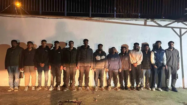 Edirne'de 13 düzensiz göçmen yakalandı