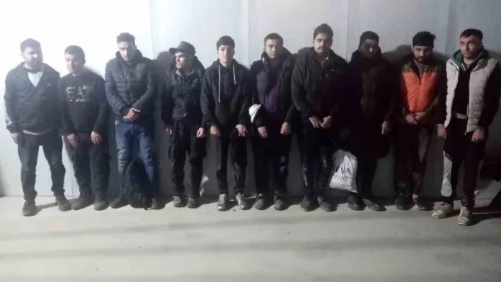 Edirne'de 20 kaçak göçmen sınırda yakalandı