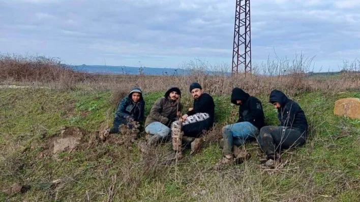 Edirne'de 21 kaçak göçmen yakalandı