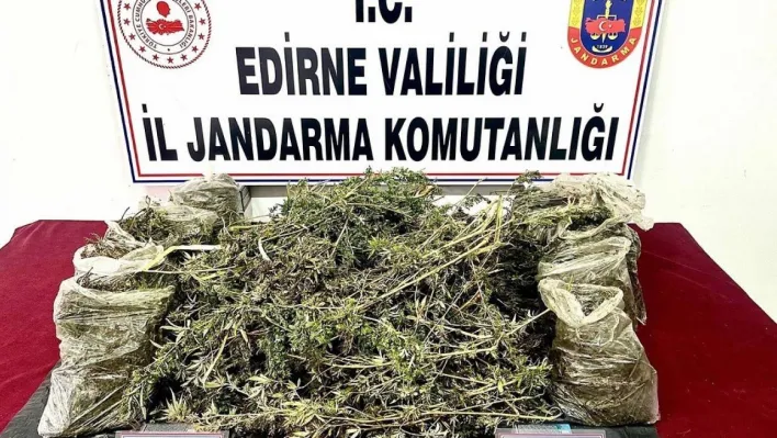 Edirne'de 8 kilo kubar esrar ele geçirildi