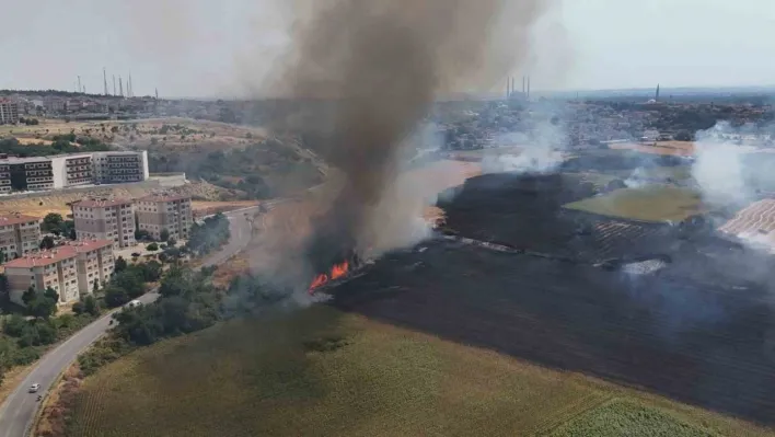 Edirne'de anız yangını yerleşim bölgesine metreler kala söndürüldü