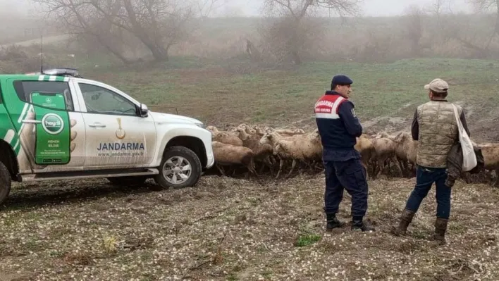 Edirne'de çobanlara hayvanların hastalıktan korunması için bilgilendirme yapıldı