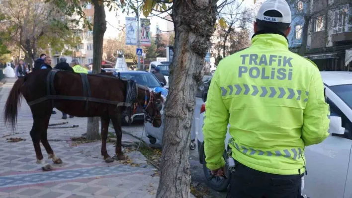 Edirne'de ilginç olay: Başıboş at 5 araca hasar verdi