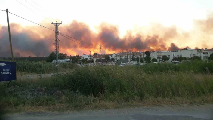 Edirne'de tarlada çıkan yangın ormanlık alana doğru ilerliyor