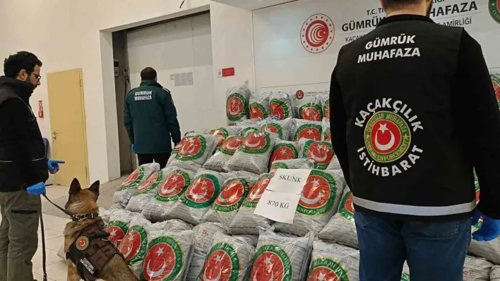 Edirne'de tırda 870 kilo skunk ele geçirildi