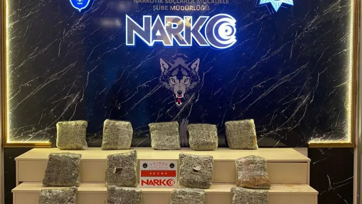 Edirne'de uyuşturucu operasyonu: Tırda 13 kilo skunk ele geçirildi