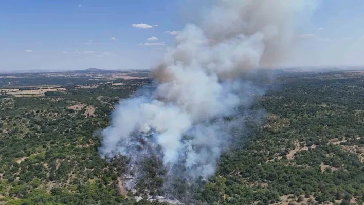 Edirne'deki orman yangını kontrol altına alındı