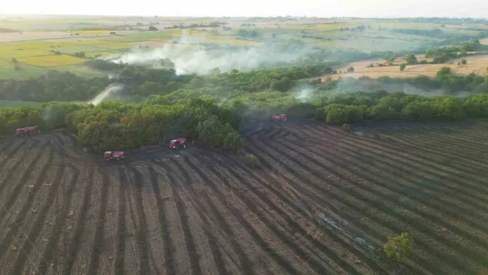 Edirne'deki orman yangınının havadan görüntüsü ortaya çıktı