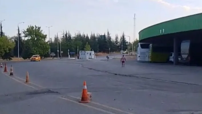 Edirne Otogarı'nda ilginç anlar: Eşek bu kez otobüs şoförünün yastığını çaldı