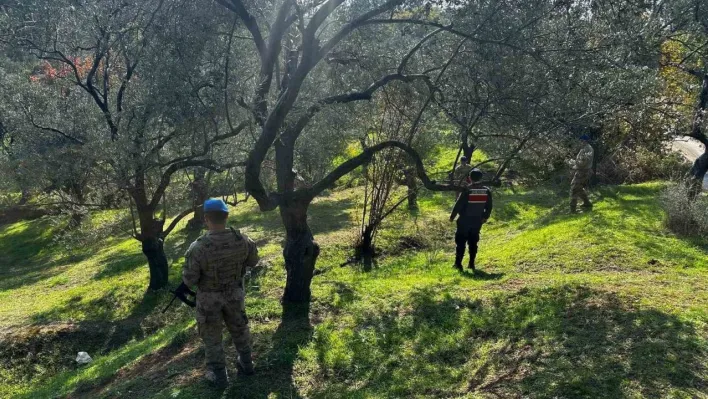 Edremit'te zeytin hırsızlığına karşı komandolar sahada