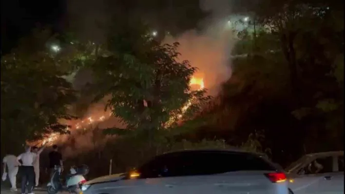 Eğlence için yakılan meşale yangın çıkardı