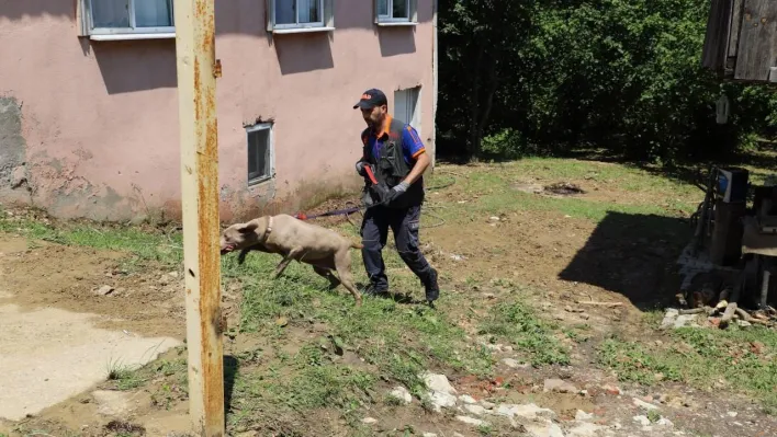 Ekipler her yerde kaybolan yaşlı kadını arıyor