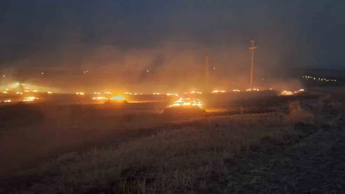 Elektrik direğinden çıkan kıvılcım 50 dönüm araziyi yaktı