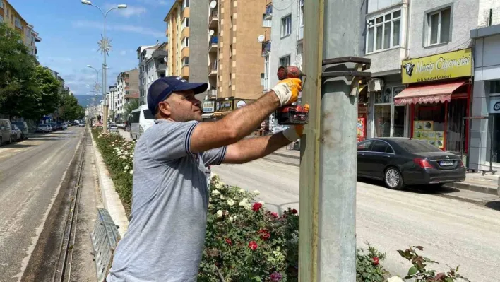 Elektrik direklerine ahşap kaplama