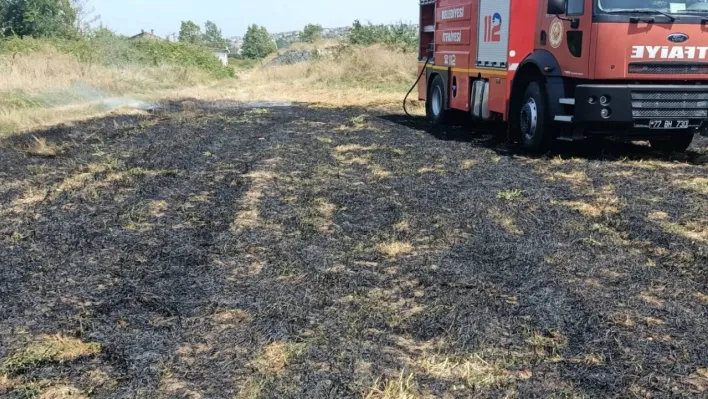 Elektrik tellerine çarpan kuş anız yangını çıkardı