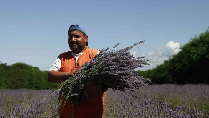 En özel ürünler bu vadide yetişecek