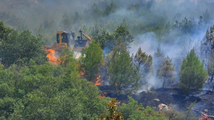 En sıcak günde ormancılar 'Yeşil Vatan'da teyakkuzda