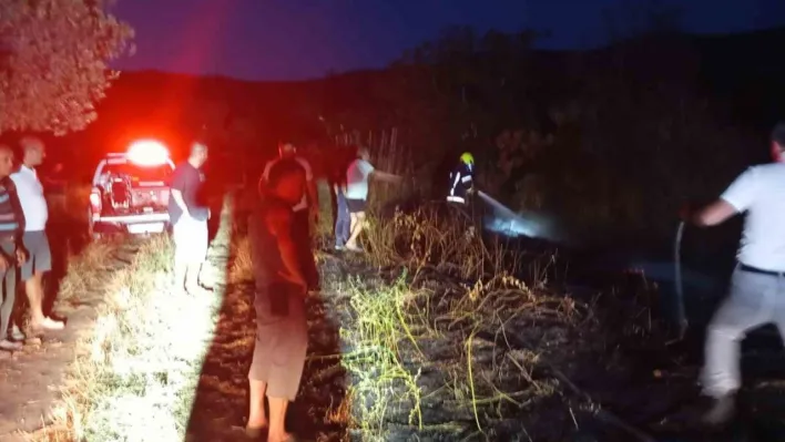 Erdek'te böğürtlenlik alanda çıkan yangın söndürüldü