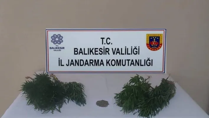 Erdek'te uyuşturucu operasyonları devam ediyor