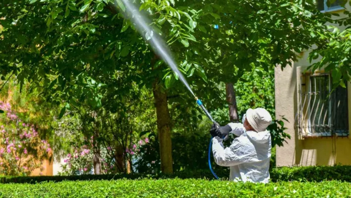 Esenyurt Belediyesi'nden ağaçlara teke böceği kalkanı