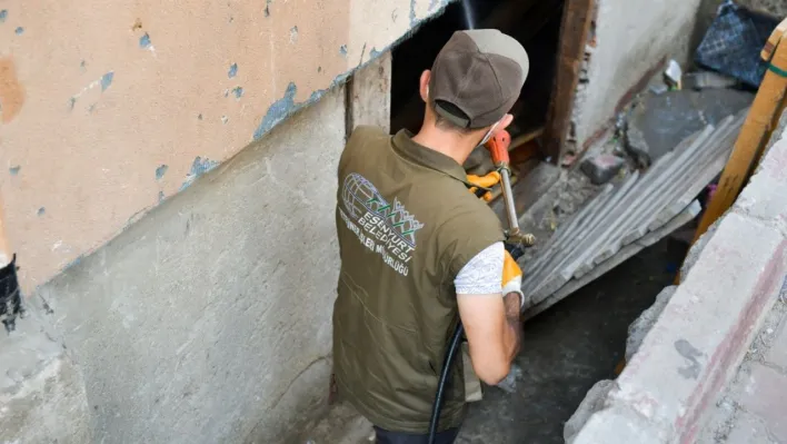 Esenyurt Belediyesi'nden fare ve haşerelere karşı yoğun mücadele
