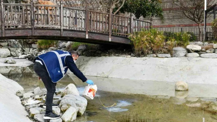 Esenyurt'ta haşerelere karşı ilaçlama yapılıyor