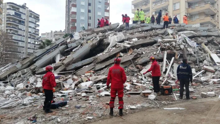 Eskişehir DAK ekibi 4'üncü günde hamile kediyi enkazdan kurtardı