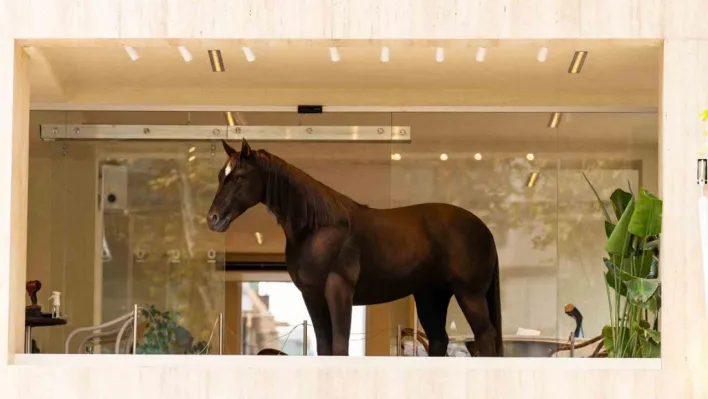 Espressolab, Jurassic Park teknolojisini şehirle buluşturdu