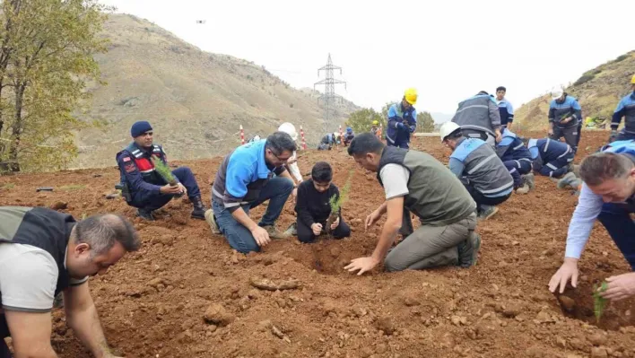 Eti Bakır'dan ağaçlandırma seferberliği