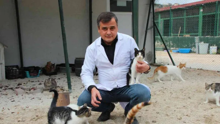 Evcil hayvan sahipleri dikkat, son 2 gün