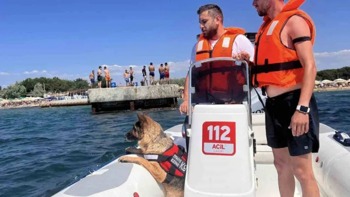 Ezine'de boğulma vakalarına karşı K9 köpeği Leydi ve dalgıçlar iş başında