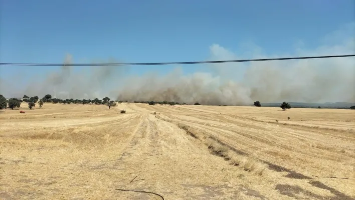 Ezine'de tarım arazisinde yangın