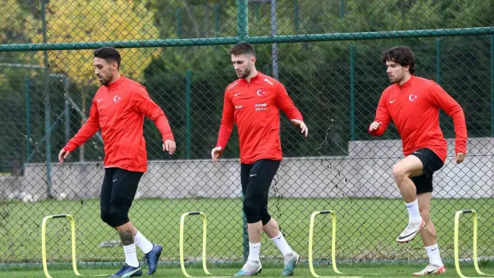 Fenerbahçe'de 12 futbolcu milli mesaide