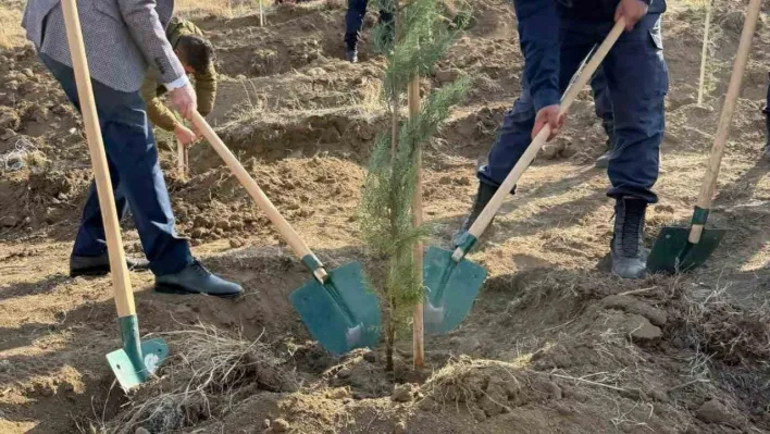 Fidanlar toprakla buluştu