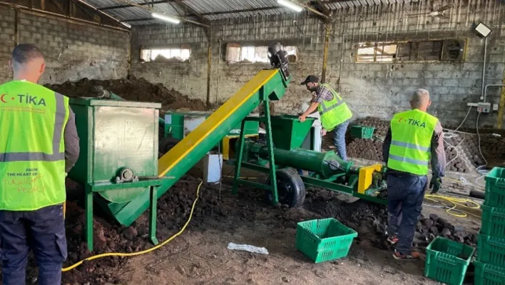 Filistin'de zeytin atıkları, pelet yakıta dönüşüyor