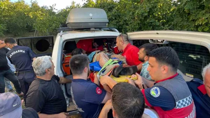 Fındık tarlasında çalışırken dereye düştü: Ekipler seferber oldu