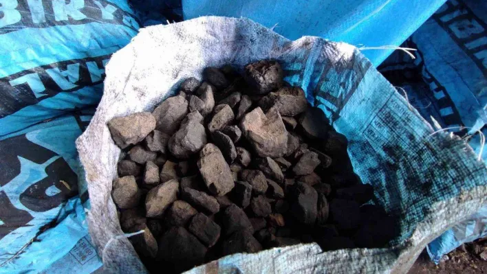 Gaz sıkıntısı çeken Avrupa, Türkiye'den kömür talep ediyor