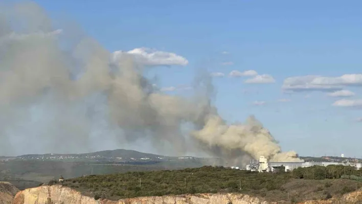 Gebze'de fabrika bahçesinde korkutan yangın