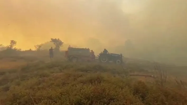 Gebze'deki orman yangınını söndürme çalışmaları sürüyor